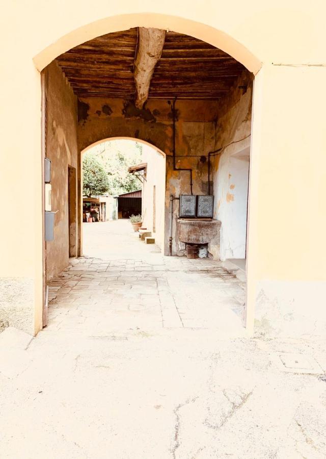 Villa Patrizia Sienne Extérieur photo